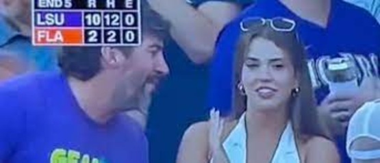 lsu baseball fan