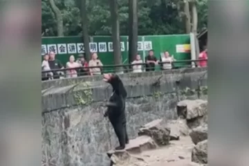 chinese zoo