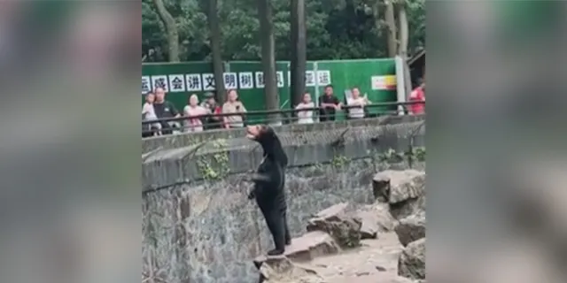 chinese zoo