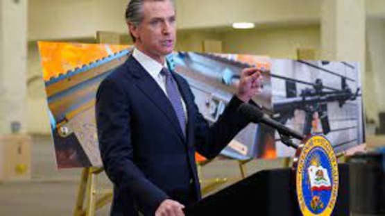 gavin newsom gun control