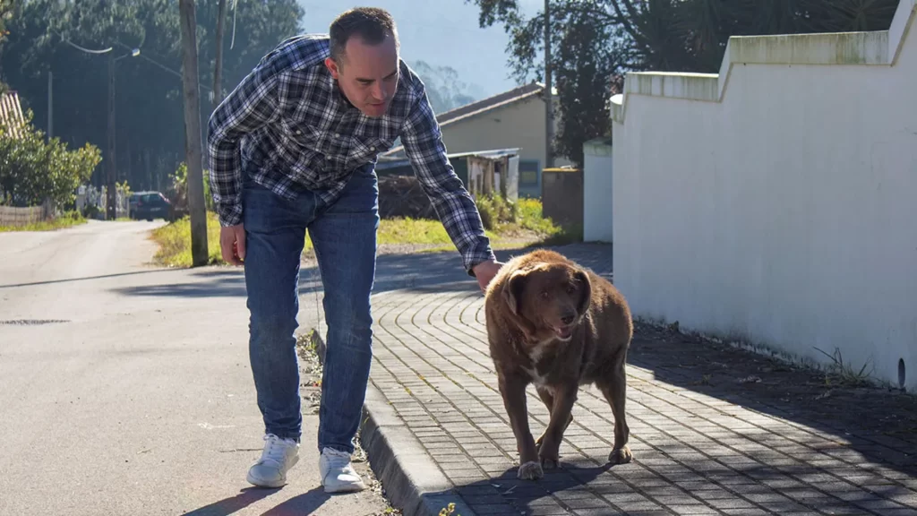 world's oldest dog bobi