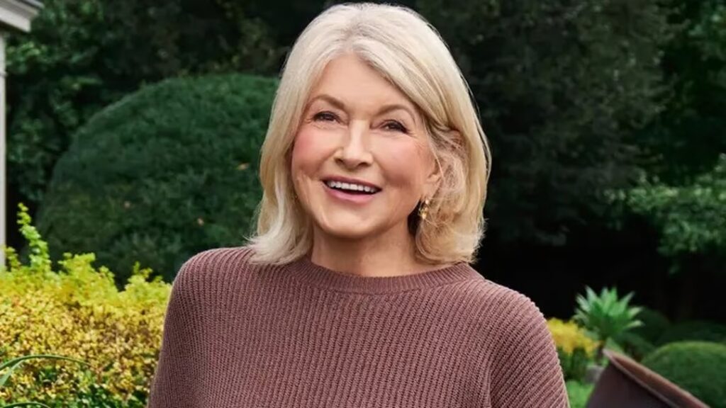 martha stewart undergarments