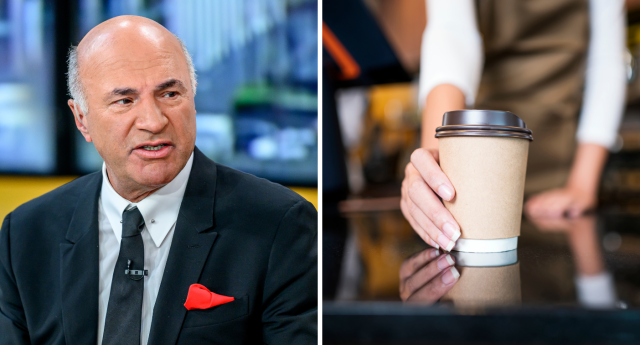 shark tank kevin o'leary