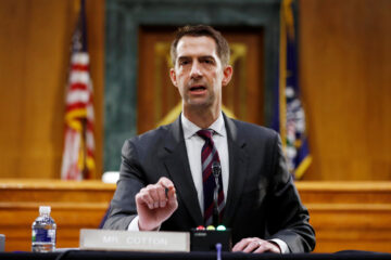 tom cotton