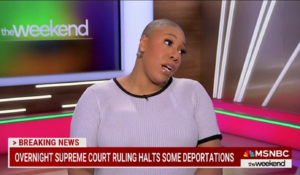MSNBC Host Makes Insane Claim About Who's 'Next' To Be Deported