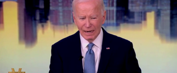 joe biden on the view