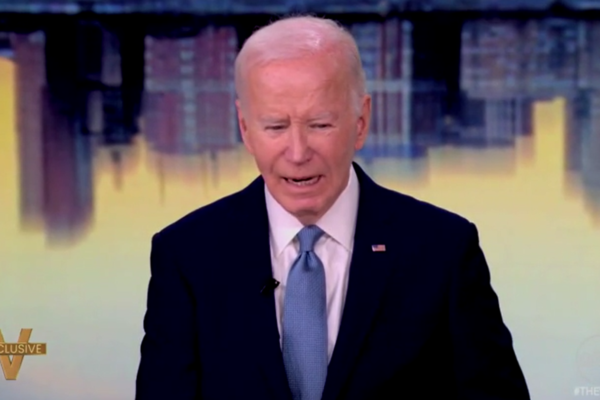 joe biden on the view