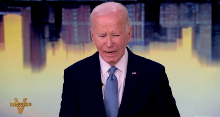 joe biden on the view