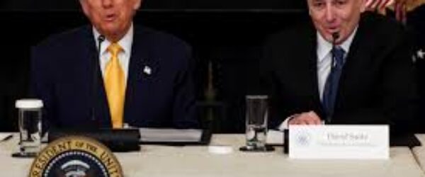 trump and david sacks ai czar