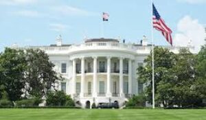White House Salary Report Reveals Biggest Earners in Trump Admin