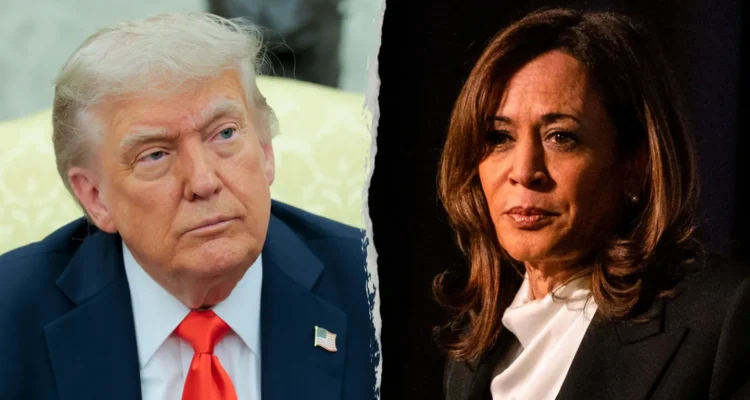trump and kamala harris