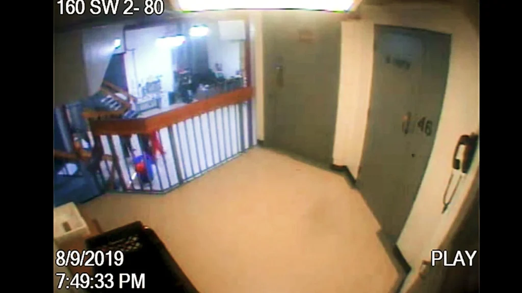 epstein footage