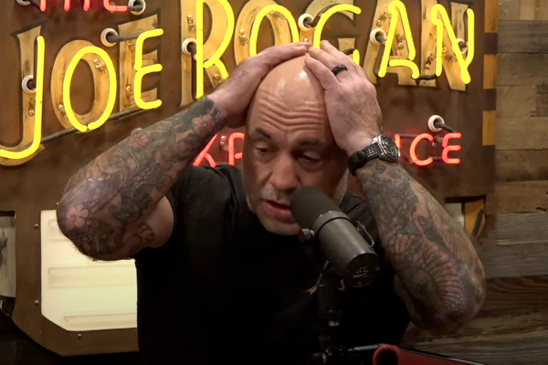 joe rogan