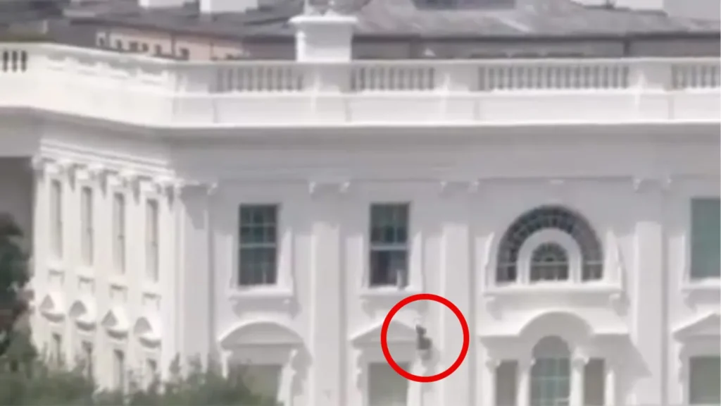 white house