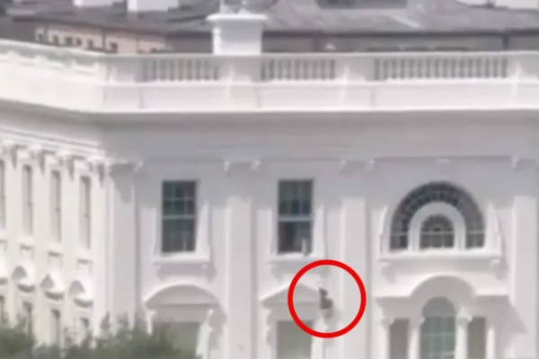 white house