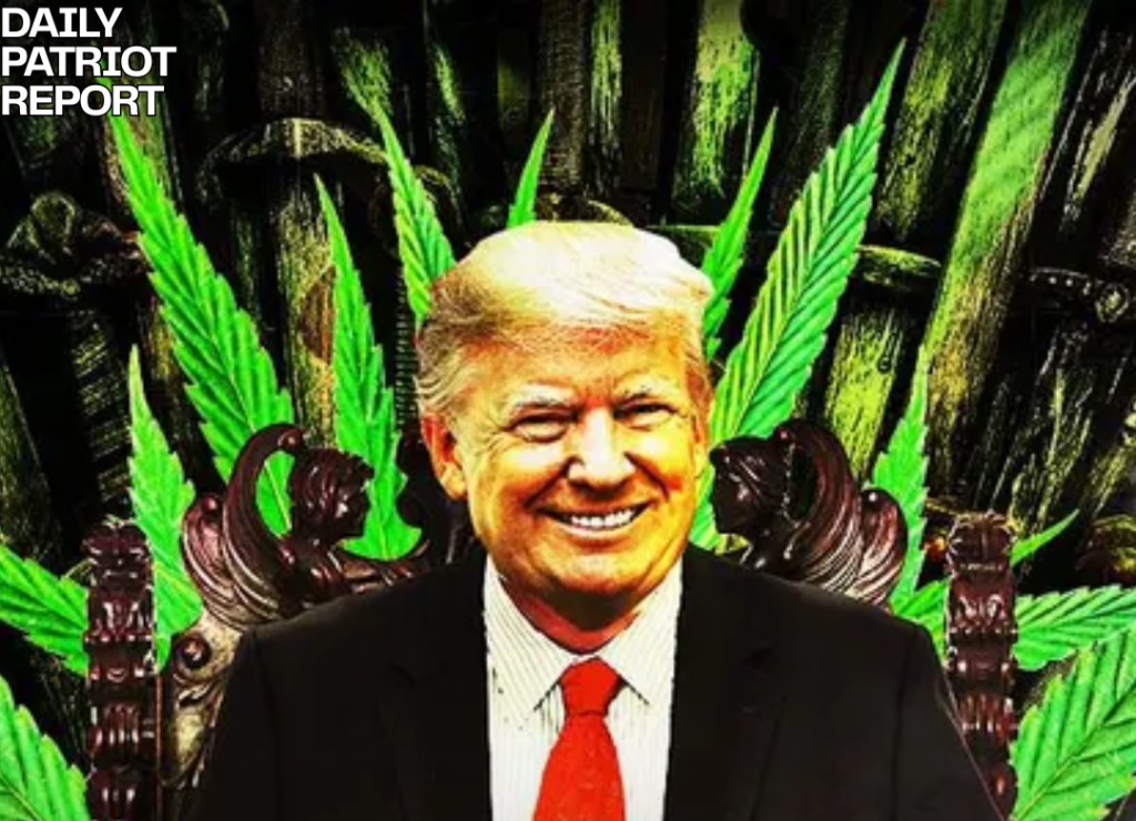 trump marijuana cannabis