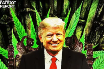 trump marijuana cannabis