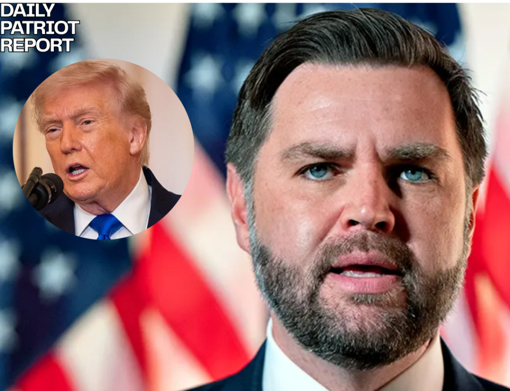 JD VANCE WAR ON FRAUD