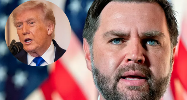 JD VANCE WAR ON FRAUD