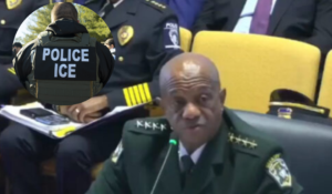 Anti-ICE Sheriff Stumped by 'Fifth-Grade Civics' Question