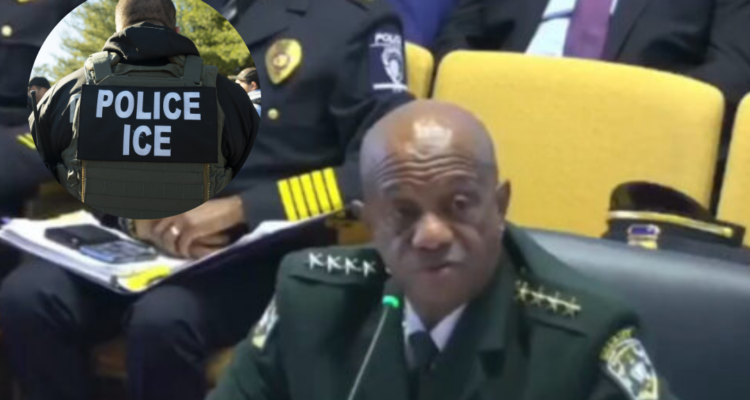 civics 101 nc anti-ice sheriff