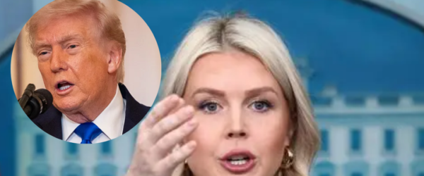 karoline leavitt warning to cartels