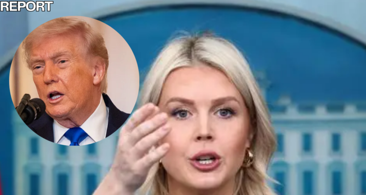 karoline leavitt warning to cartels