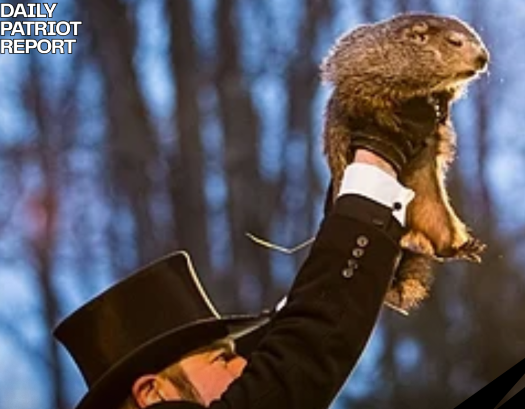 punxsutawney phil