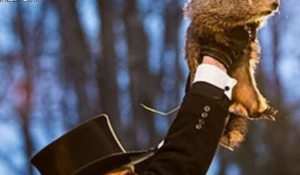 Punxsutawney Phil Makes 140th Weather Prediction on Frigid Monday