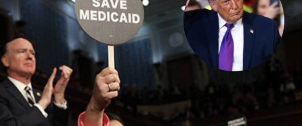 jill tokuda sotu sitting