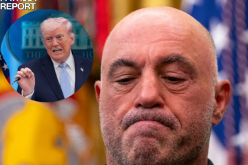 JOE ROGAN UFC TRUMP