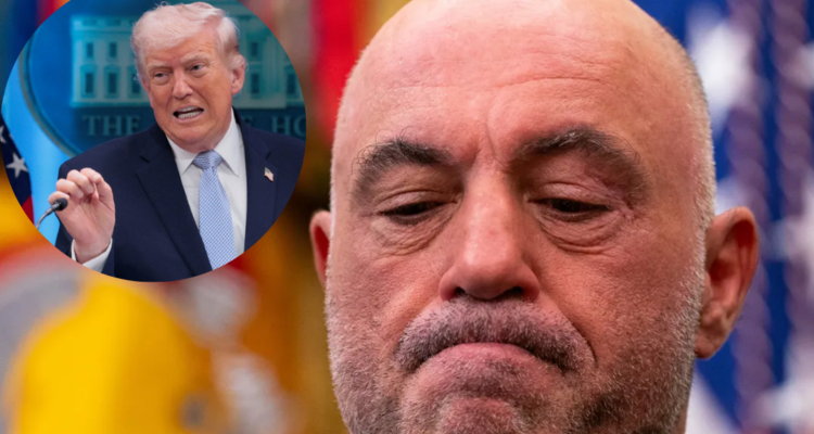 JOE ROGAN UFC TRUMP