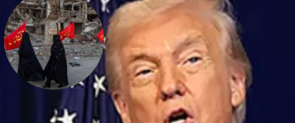 president donald trump iran straight of hormuz ceasefire