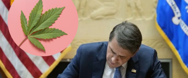 trump admin marijuana