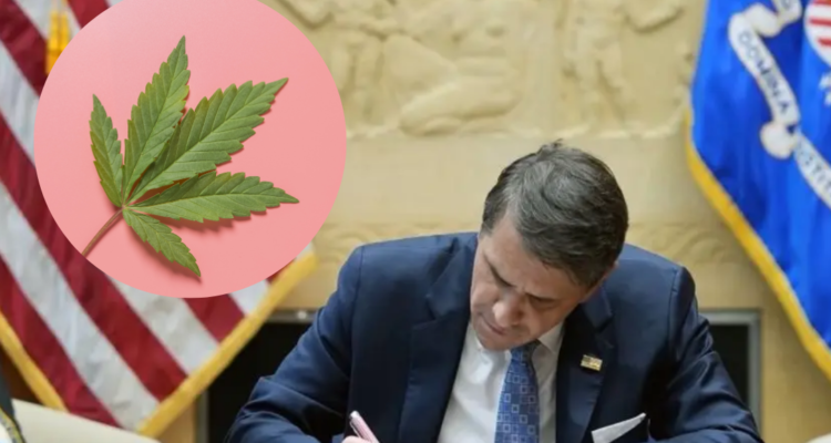 trump admin marijuana