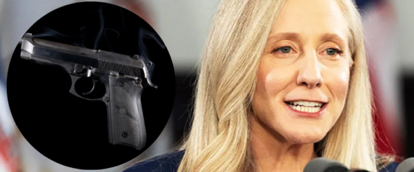 virginia governor gun control