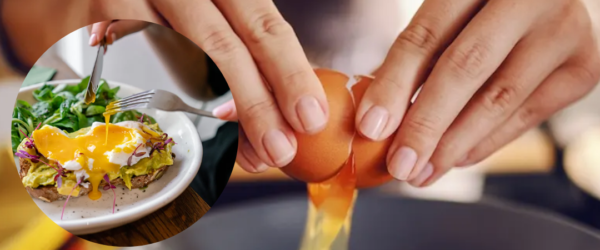 eggs reduced alzheimers risk