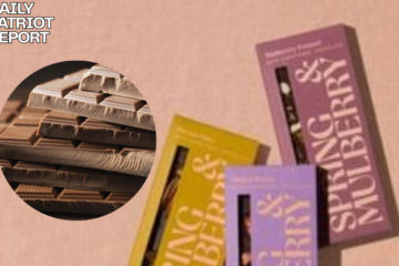 spring & mulberry chocolate salmonella outbreak