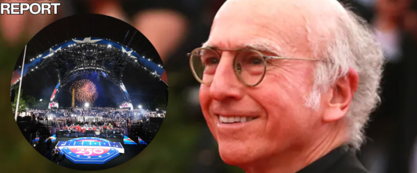 comedian larry david ufc