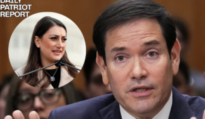 Rubio Roasts Democrats After Strange Questions at Hearing: 'Is This a Circus?'