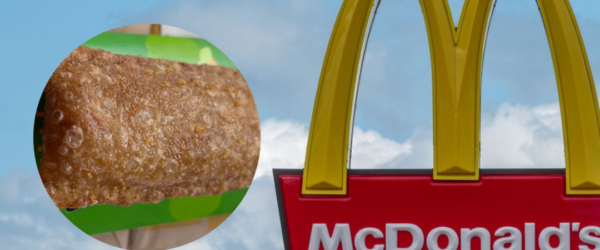 mcdonalds fried apple pie