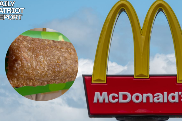 mcdonalds fried apple pie