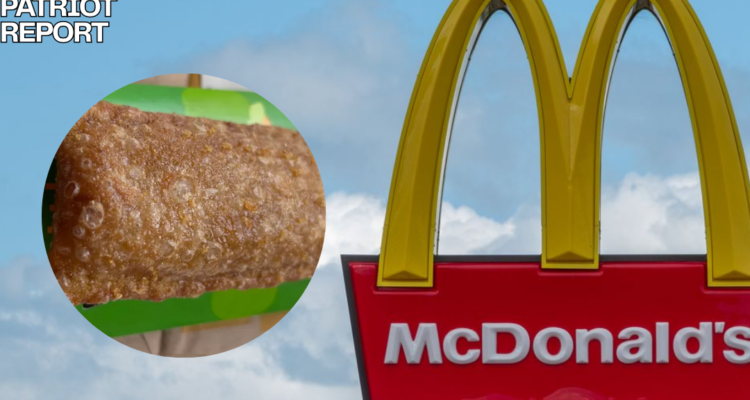 mcdonalds fried apple pie