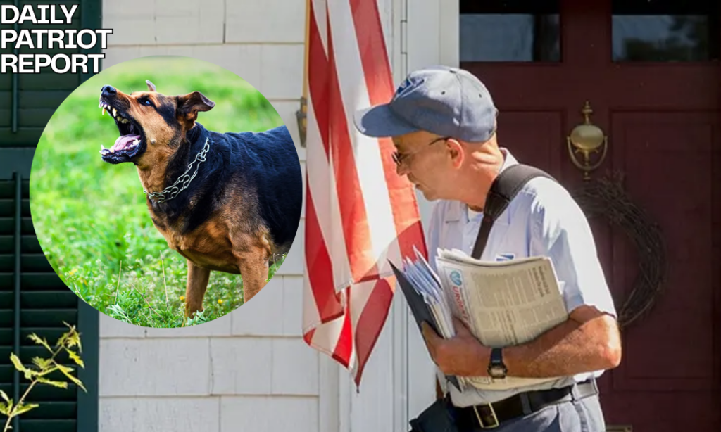 usps issues warning to dog owners