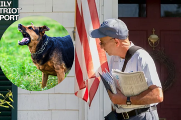 usps issues warning to dog owners