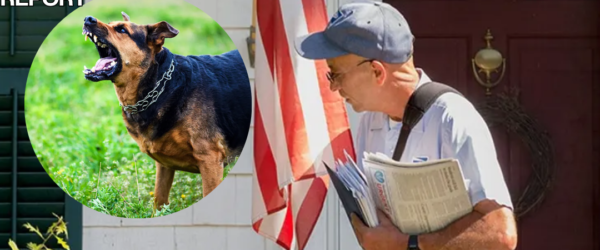 usps issues warning to dog owners