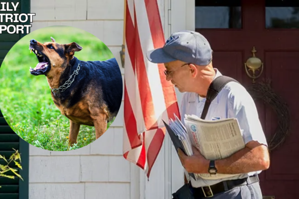 usps issues warning to dog owners
