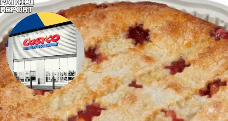 costco pie returns for summer