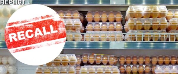 eggs recalled