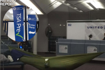 tsa national hammock day